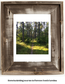 horseback riding near me in Florence, South Carolina